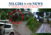 Nilgiri News